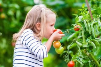 Gardening for Beginners