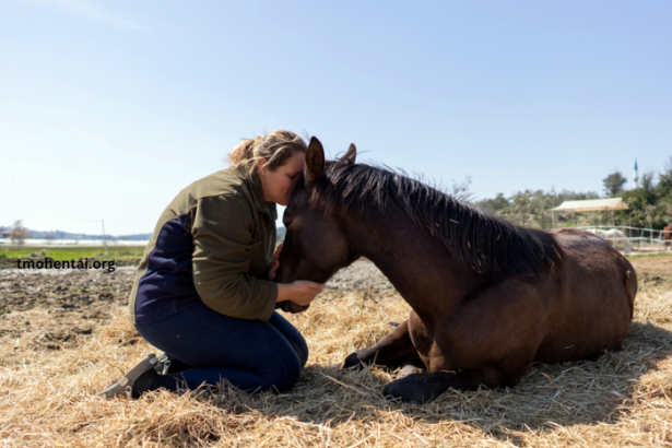 ÉLimination Des Chevaux