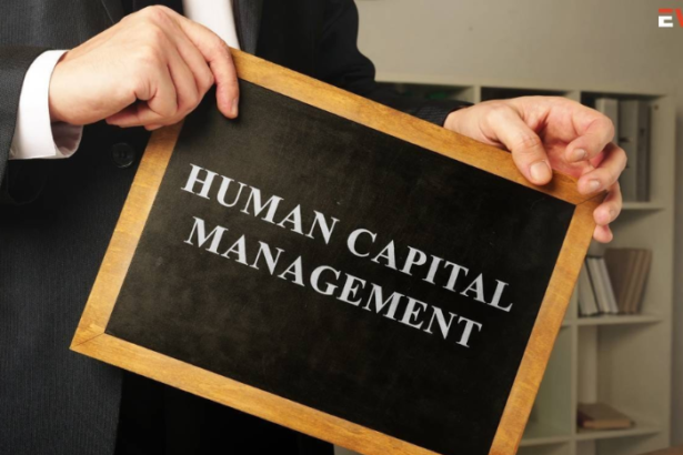 Understanding Human Capital Management and Its Impact on Organizational Success