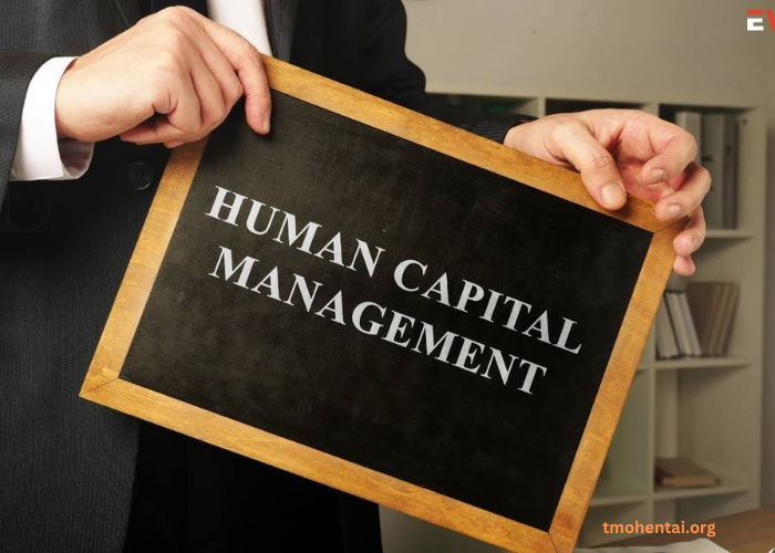 Understanding Human Capital Management and Its Impact on Organizational Success