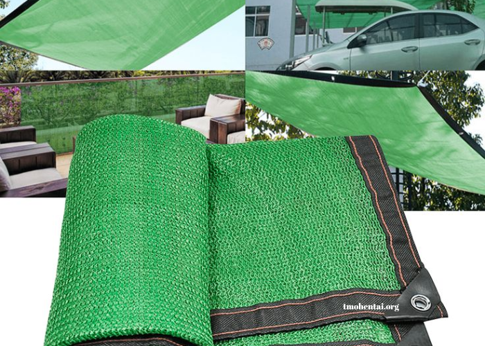 TMOHentai Manga Hentai Anime Hentai More TMO Hentai TMOHentai Manga Hentai Anime Hentai More TMO Hentai