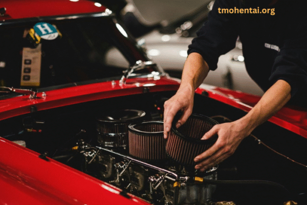 About Us TMOHentai About Us TMOHentai