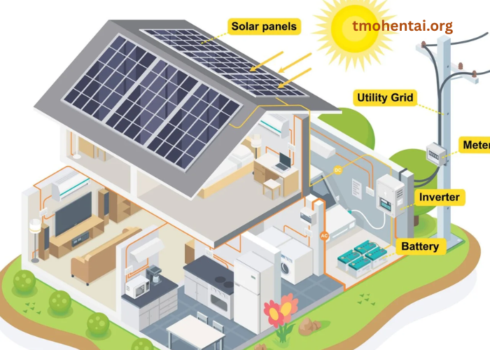 Home Solar 101: From Site Survey to Switch On